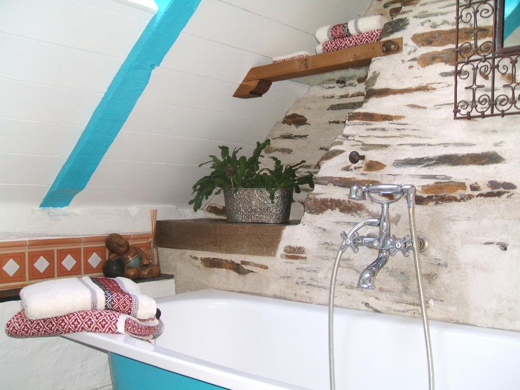Le Petit Logis De Tinteniac Angers Szoba fotó